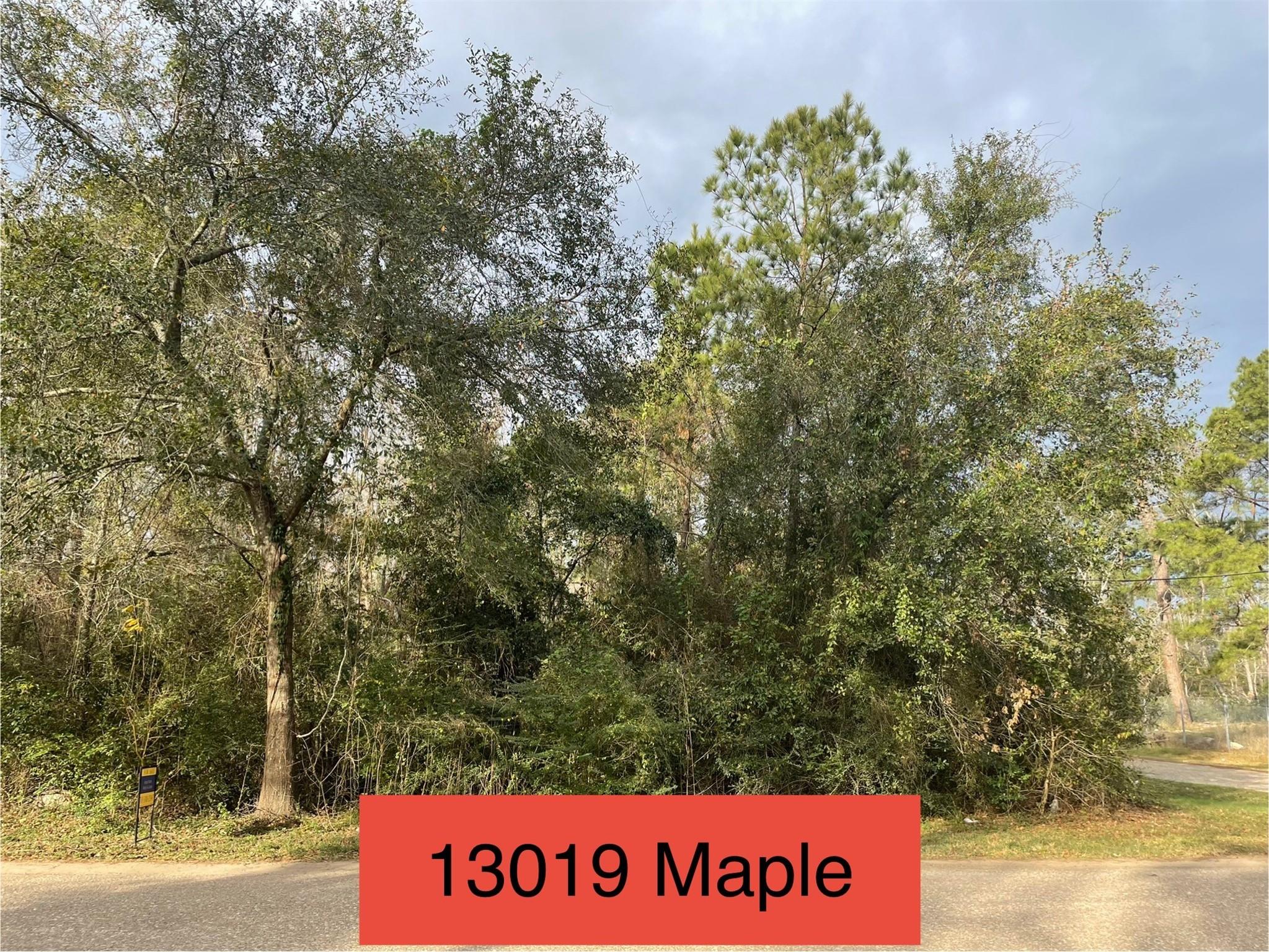 13019 Maple Street
