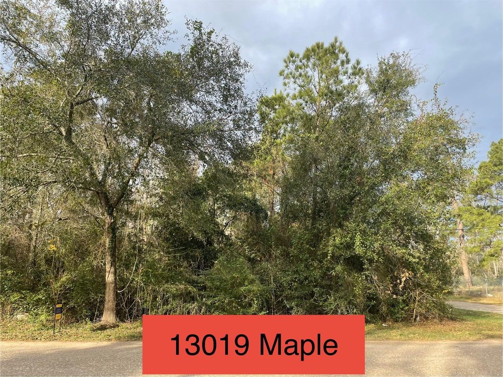 Photo of 13019 Maple Street, Crosby, TX 77532 (MLS # 10469589)