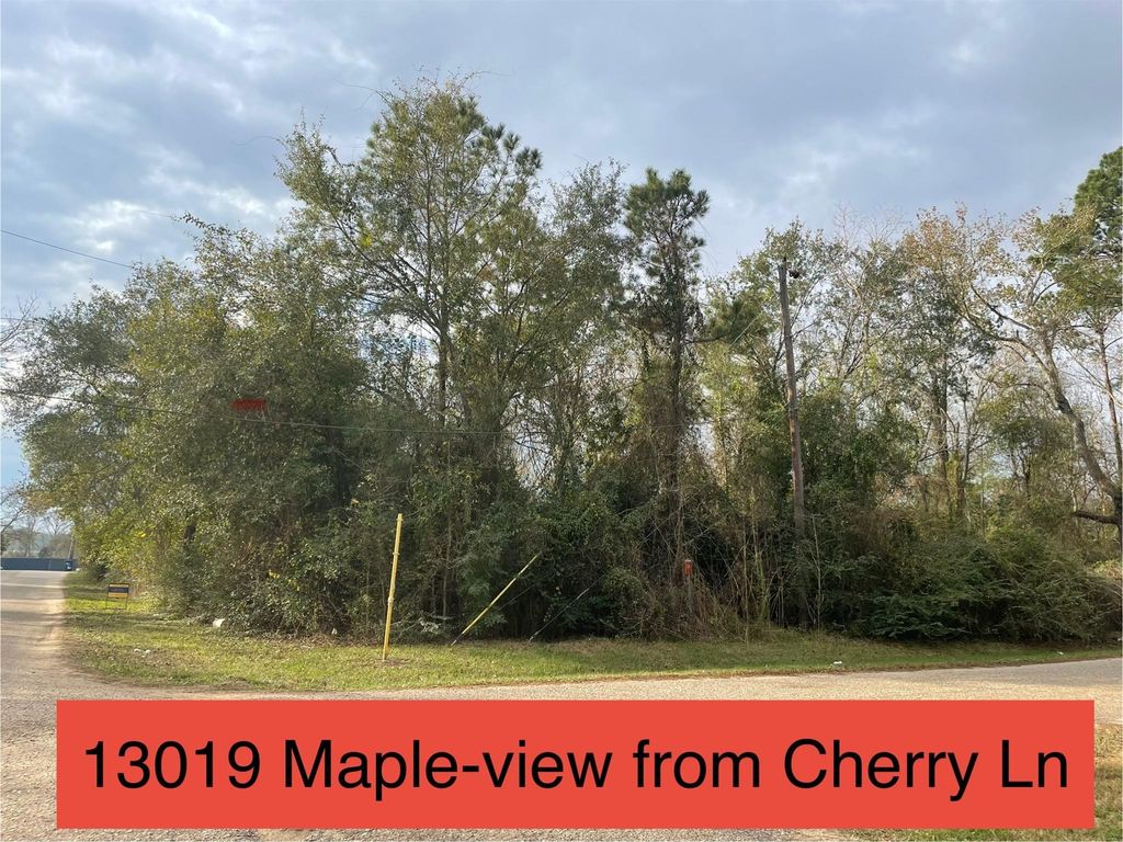 Photo of 13019 Maple Street, Crosby, TX 77532 (MLS # 10469589)