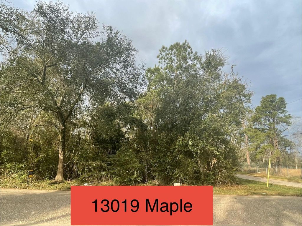 Photo of 13019 Maple Street, Crosby, TX 77532 (MLS # 10469589)
