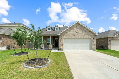 13622 Giant Panda Bear Avenue Crosby TX 77532