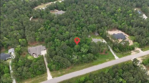 Photo of 0 Lonestar Road Texas, New Waverly, TX 77340 (MLS # 72174525)