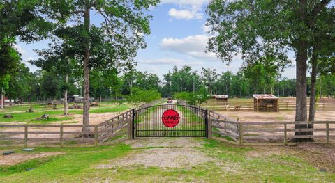 Photo of 21286 Doru Drive, Cleveland, TX 77328 (MLS # 69966952)