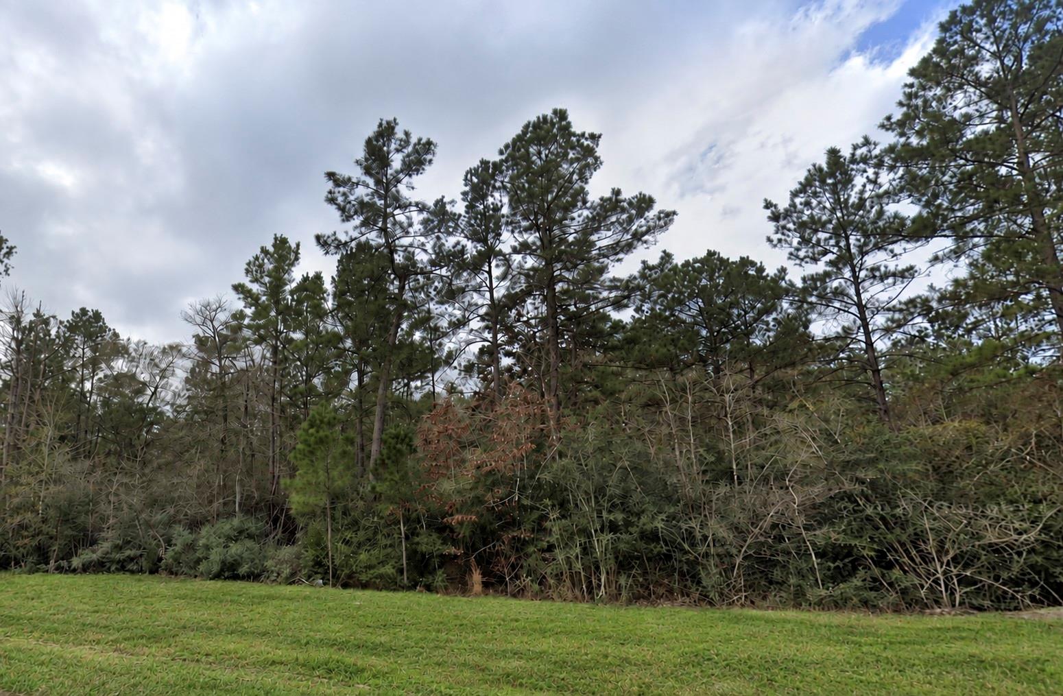 15273 Forest Grove Drive