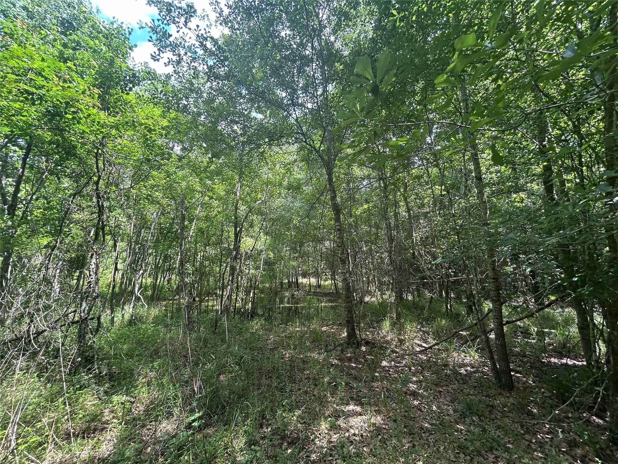 26702 Apache Trail