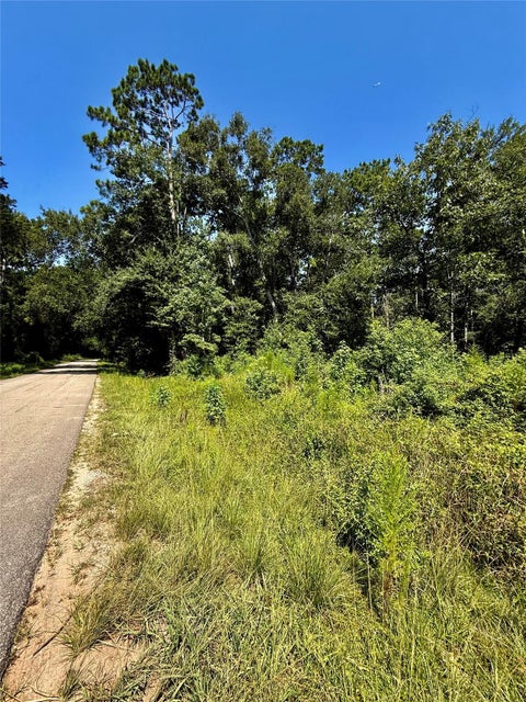 Photo of 6 Rolling Hills Drive, Porter, TX 77365 (MLS # 61984271)