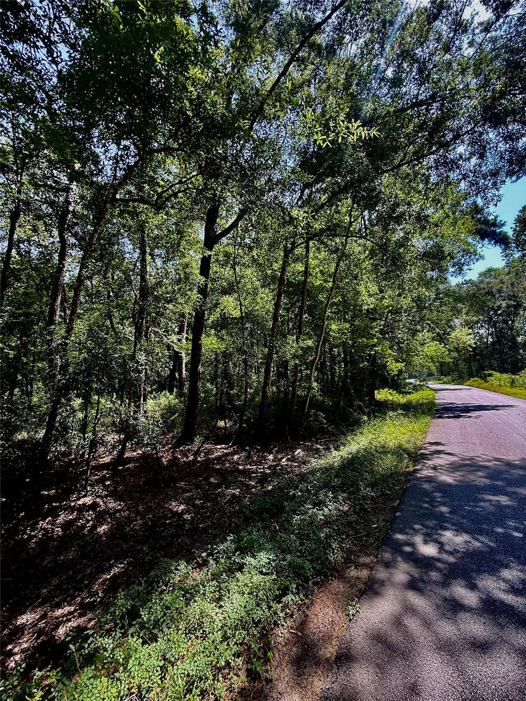 Photo of 6 Rolling Hills Drive, Porter, TX 77365 (MLS # 61984271)