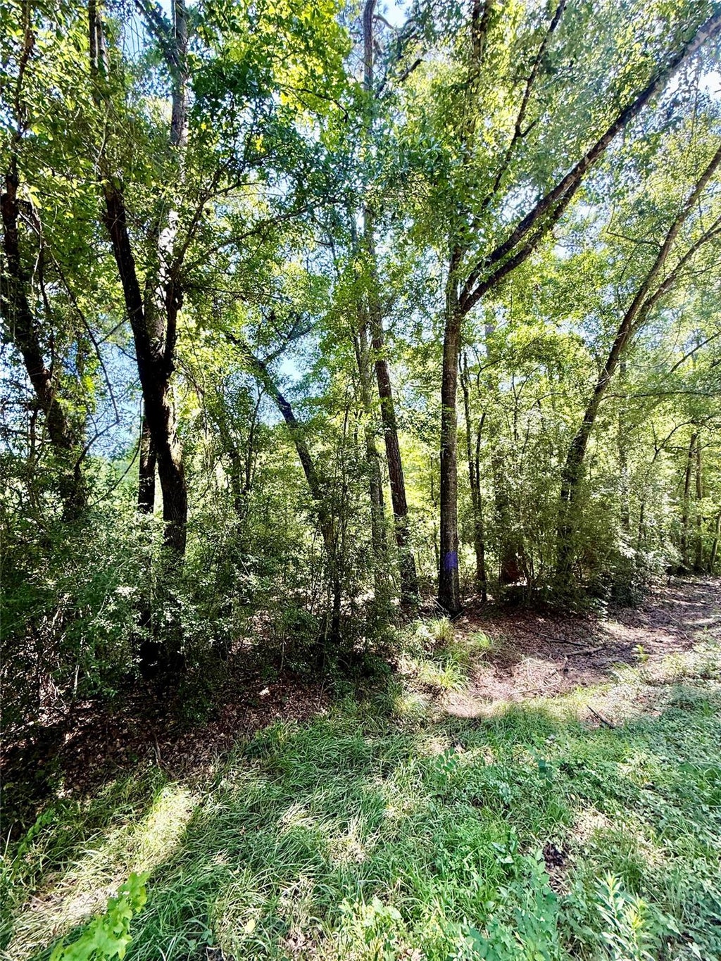 Photo of 6 Rolling Hills Drive, Porter, TX 77365 (MLS # 61984271)