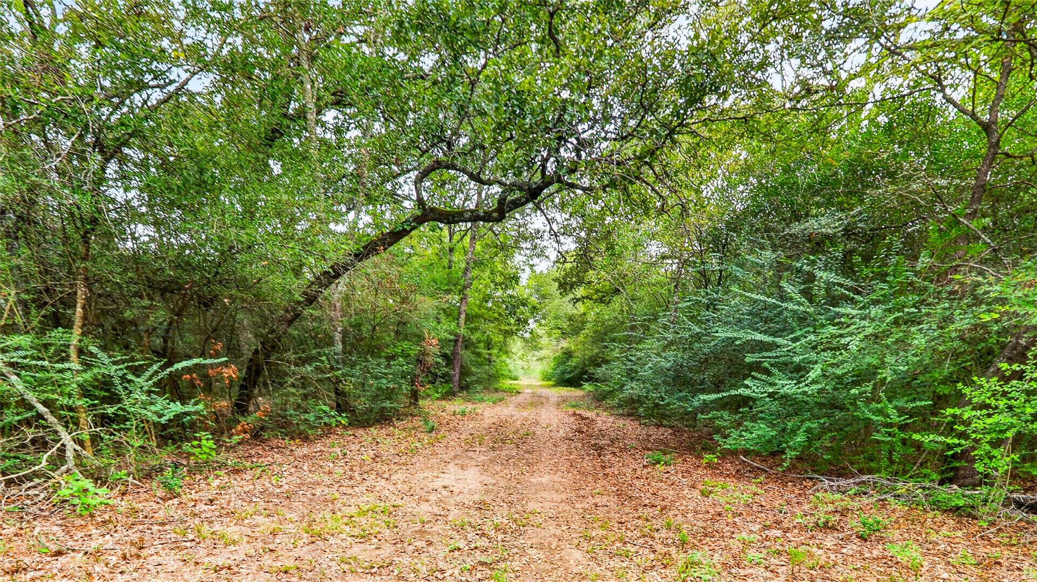8619 Private Road 1100