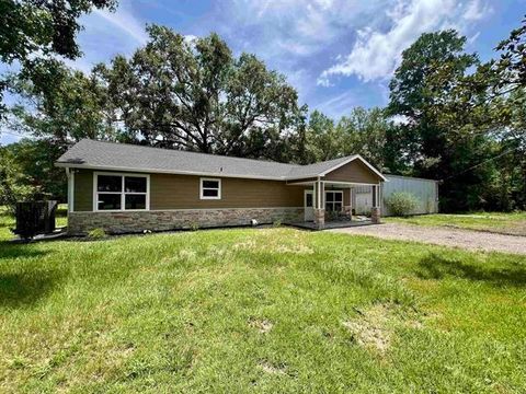 Photo of 10516 Peck Road, Lumberton, TX 77657 (MLS # 79009017)