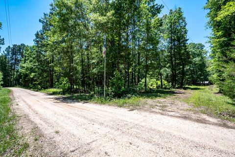 Photo of 718 Private Road 8060, Woodville, TX 75979 (MLS # 59905896)