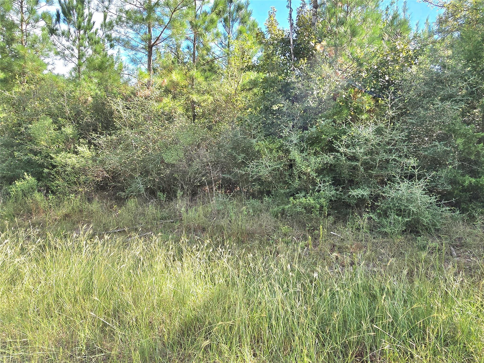 TBD Rice Road E