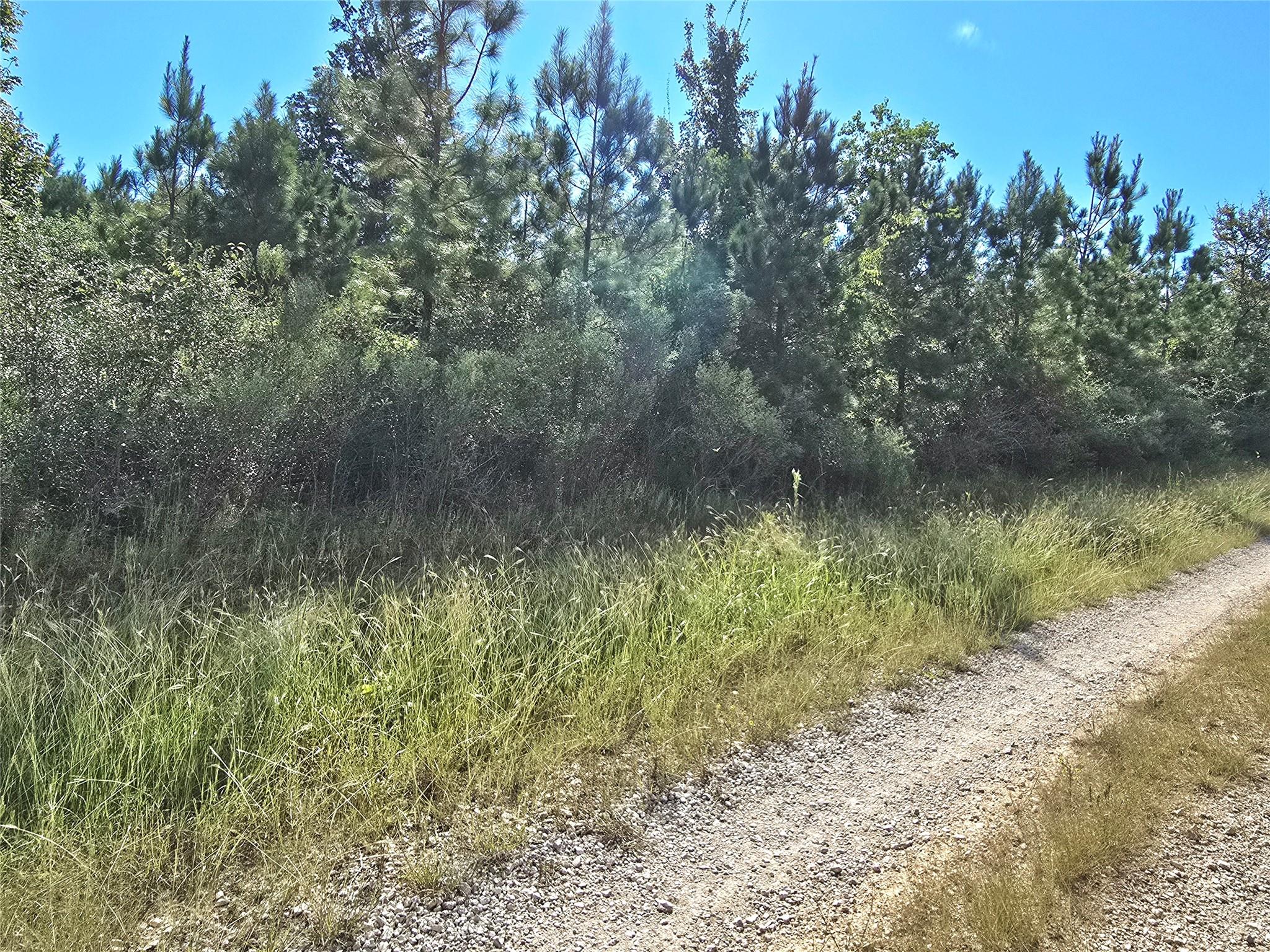 TBD Rice Road E