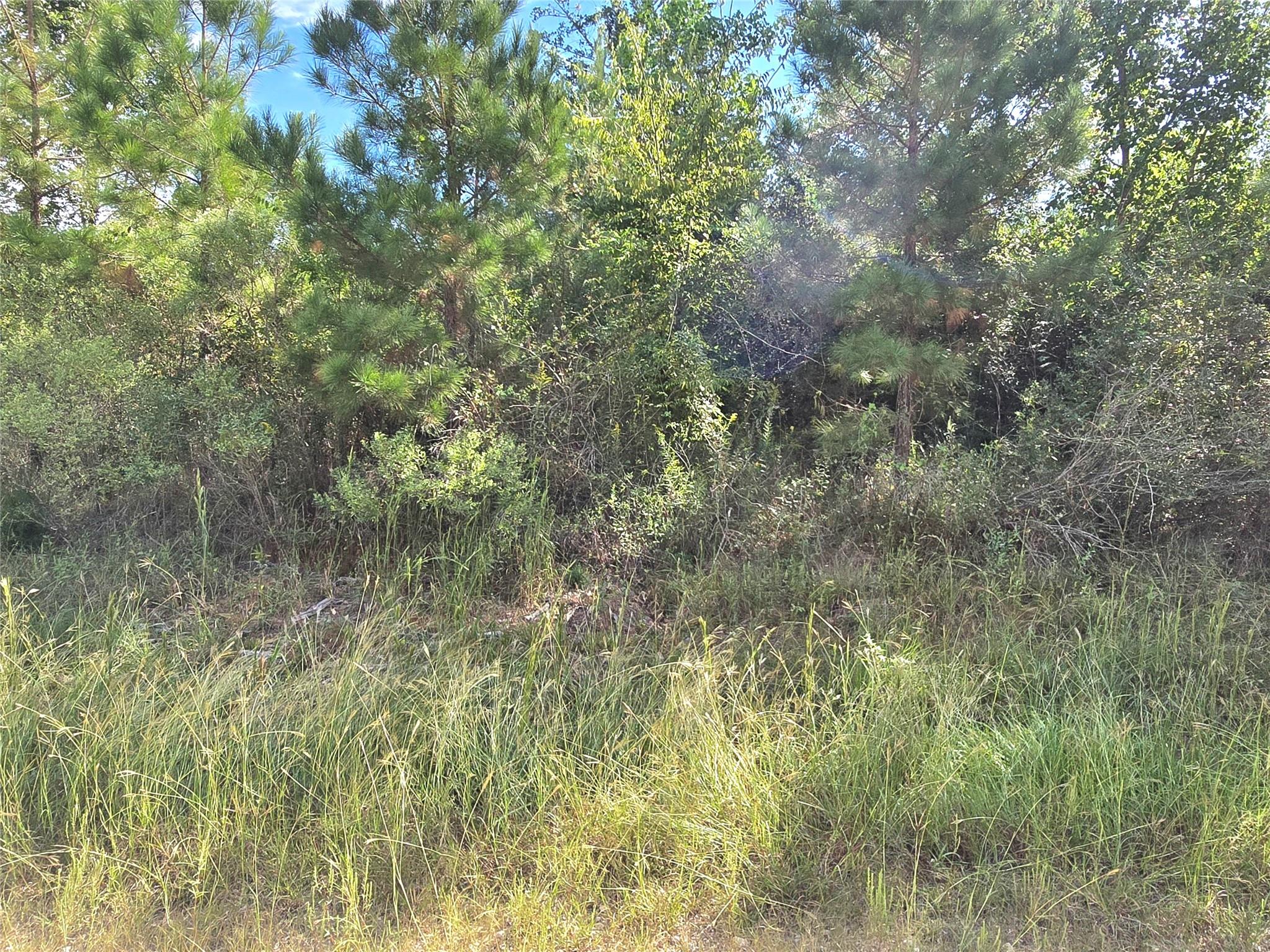 TBD Rice Road E