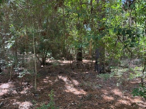 Photo of 0 Twigwood Drive, Brookeland, TX 75931 (MLS # 72196554)