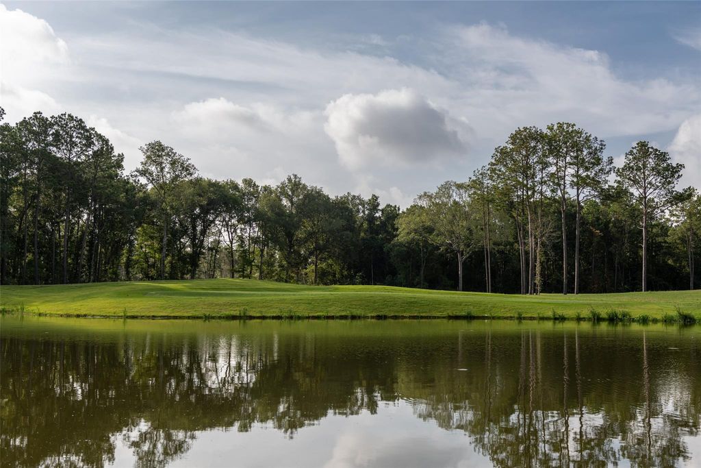 Photo of 7007 Putter Point Drive, Porter, TX 77365 (MLS # 40441337)