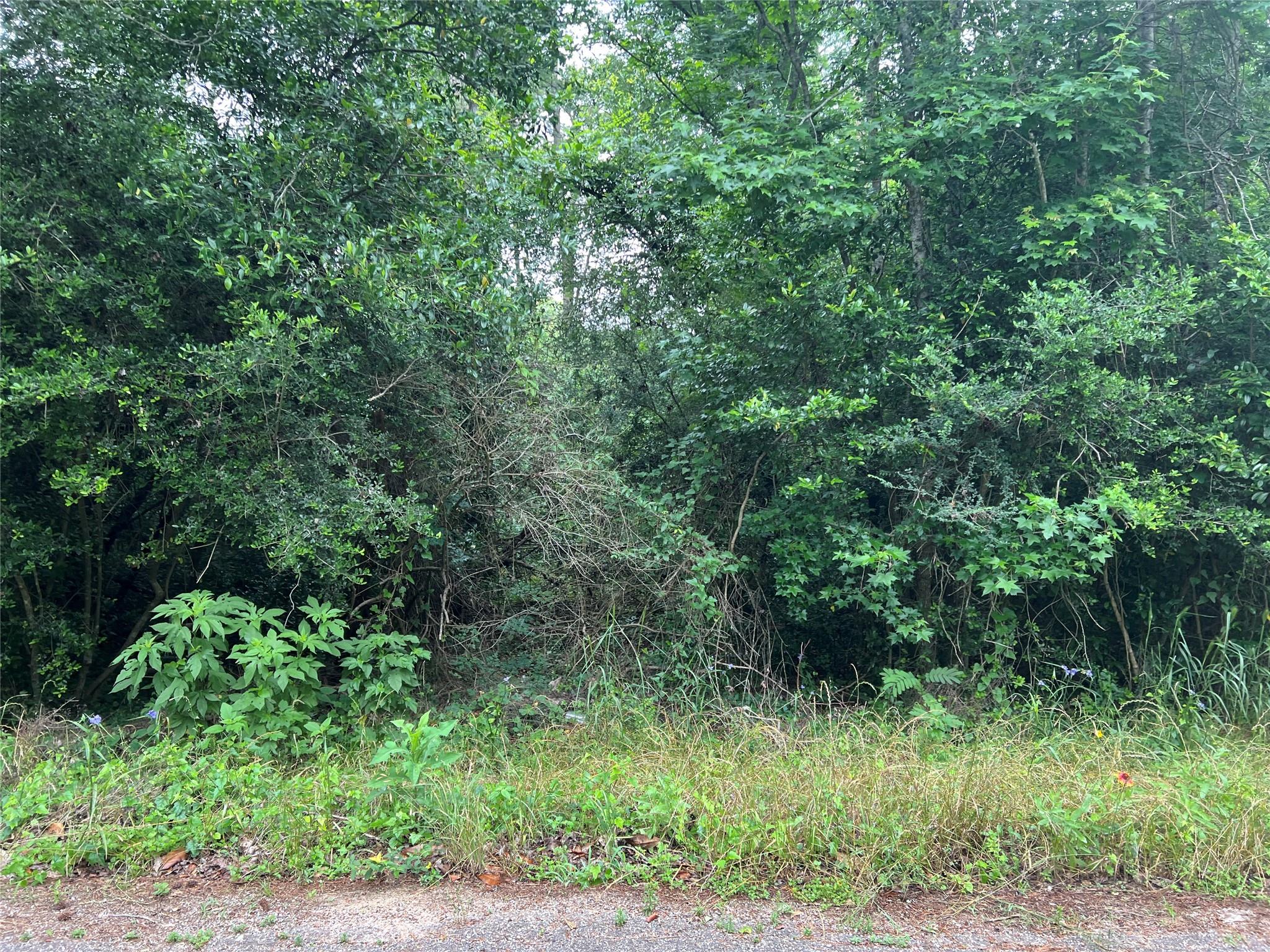 000 Rollingwood Loop