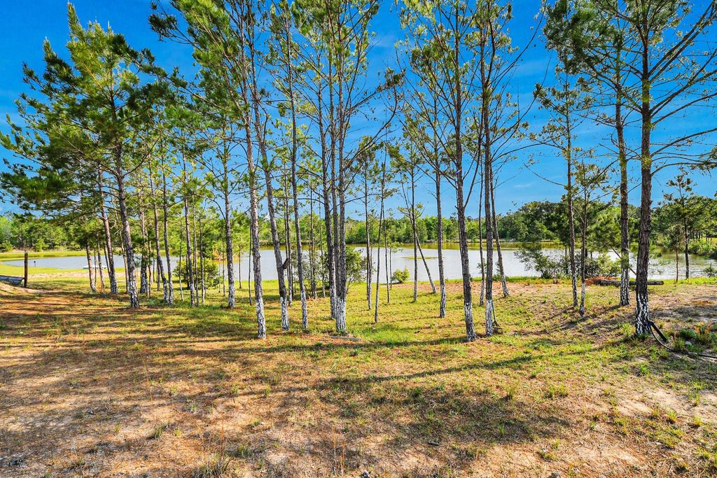 Photo of 20065 Spring Hill Lane, Porter, TX 77365 (MLS # 76112233)