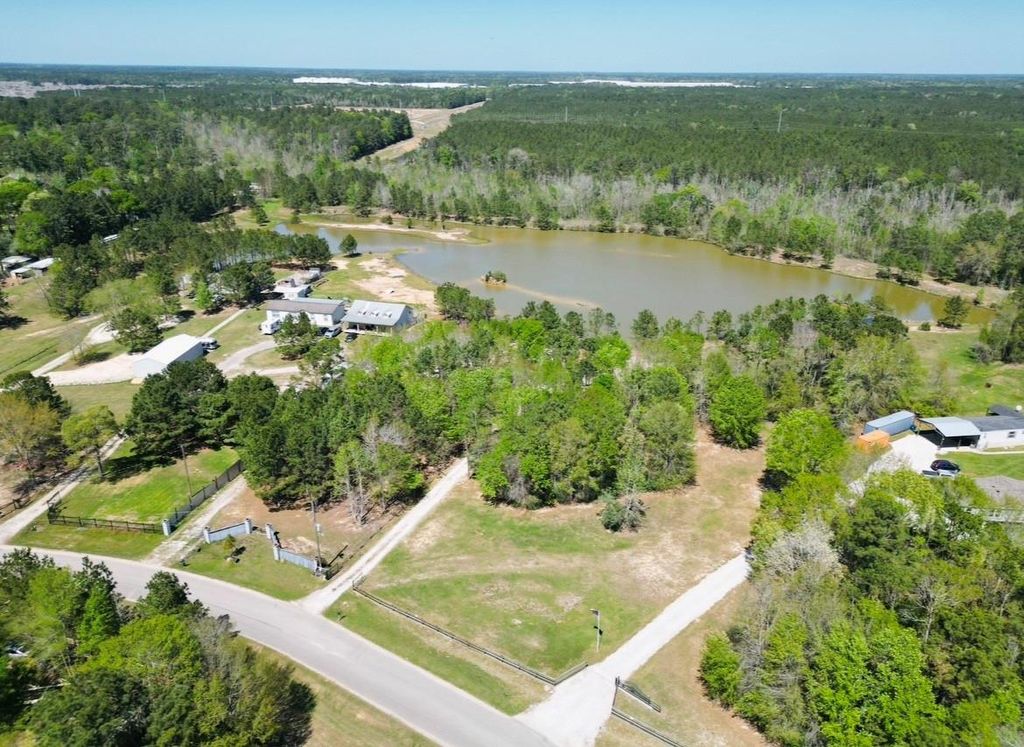 Photo of 20065 Spring Hill Lane, Porter, TX 77365 (MLS # 76112233)