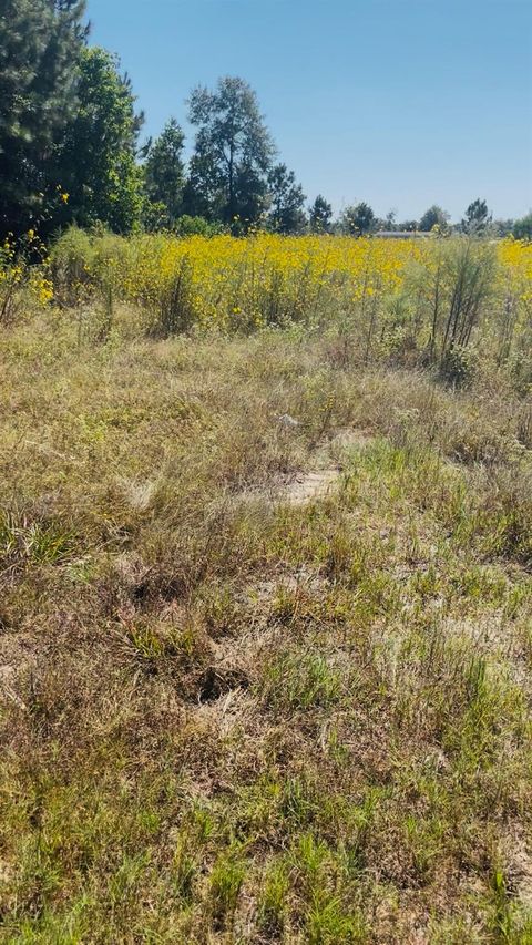 Photo of 388 County Road 5017, Cleveland, TX 77327 (MLS # 98007921)