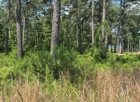 Photo of 17 Private Road 6028, Brookeland, TX 75931 (MLS # 70895841)