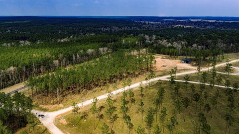 Vacant Land For Sale - 219 Big Buck Drive<br/> Moscow, TX 75960