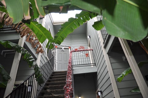 Photo of 3754 Tanglewilde Street #C16, Houston, TX 77063 (MLS # 6428658)