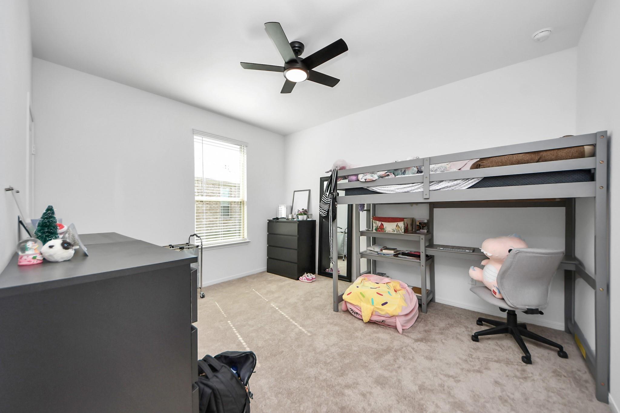 3113 Freiberger Lane