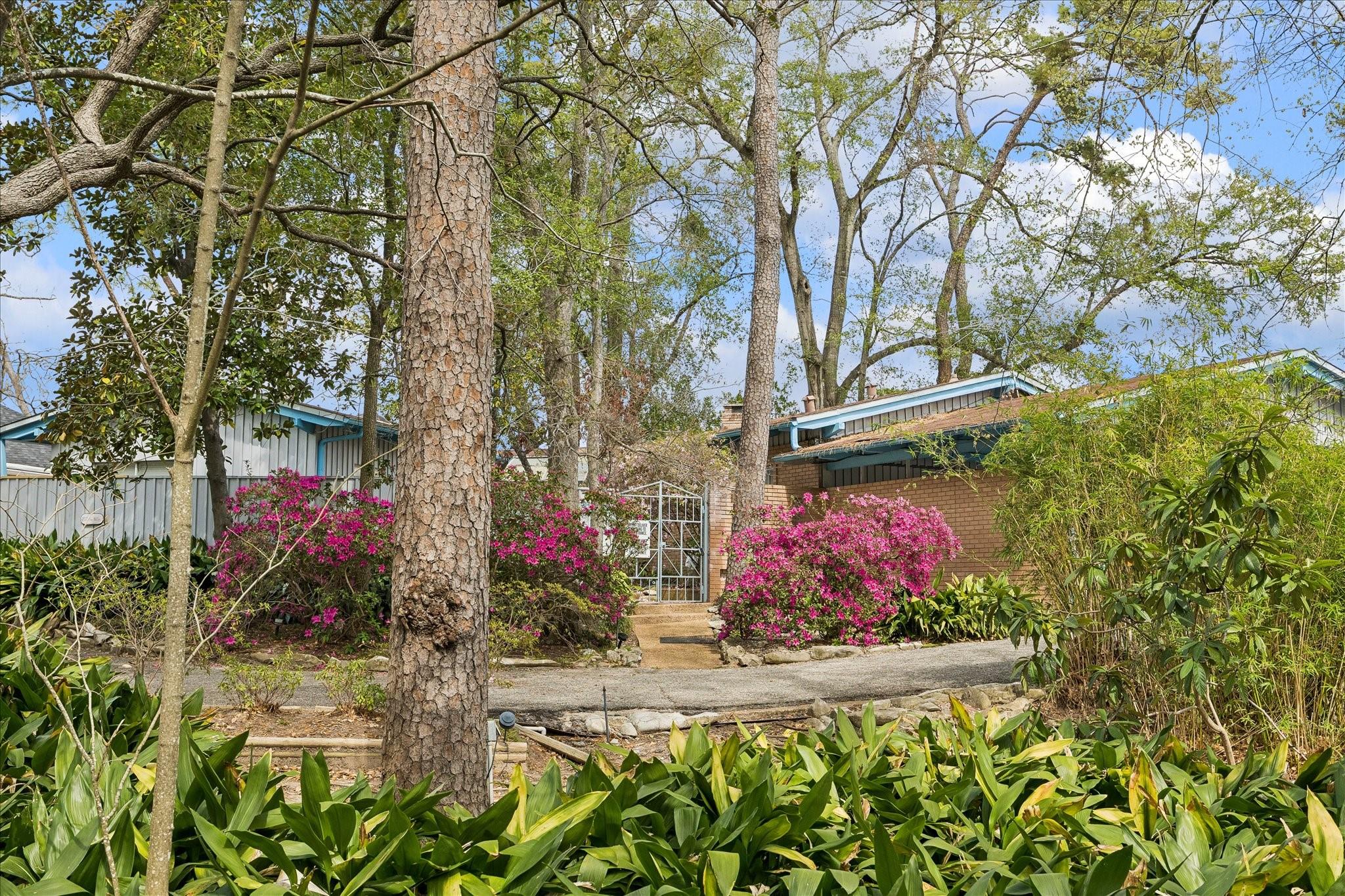 202 Pine Hollow Lane