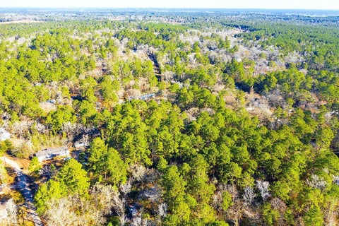 Photo of 30 Cedar Court, Trinity, TX 75862 (MLS # 70432351)