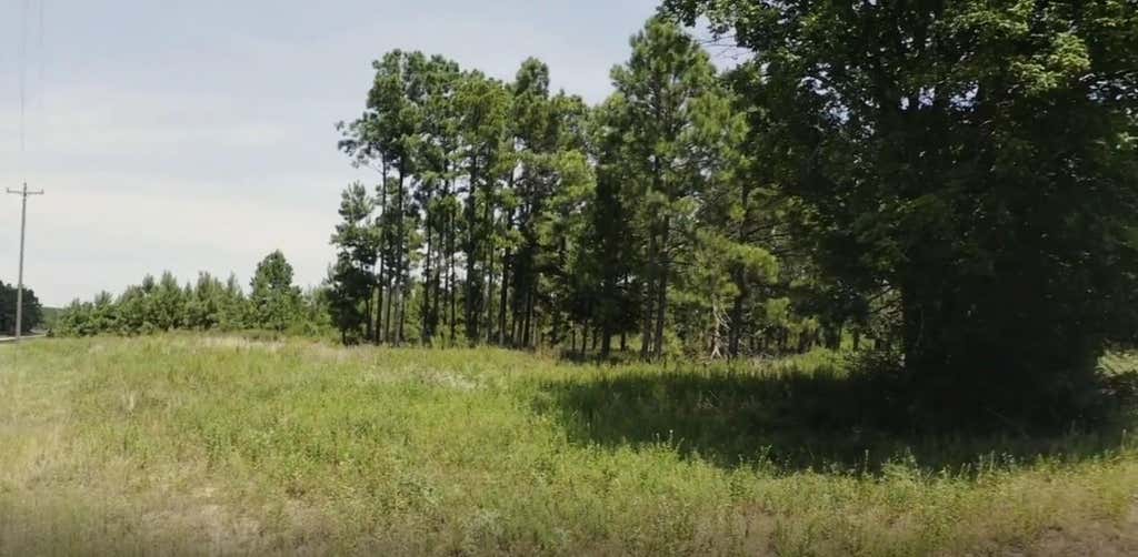 Photo of TBD Hunt Ct, Lovelady, TX 75851 (MLS # 59214026)