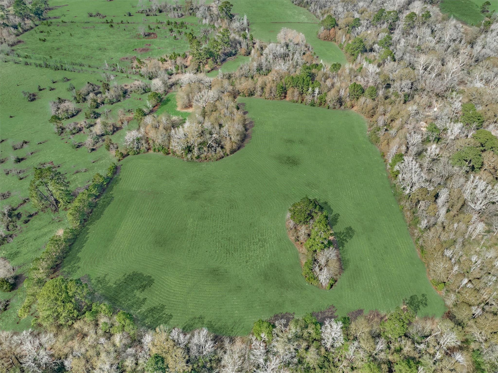 14670 Willis Waukegan Road