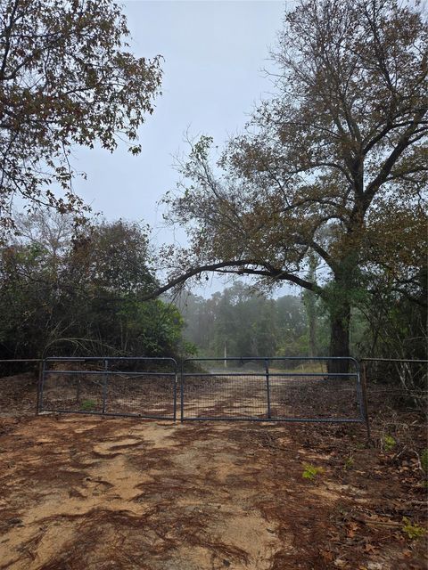 Vacant Land For Sale - 1017 County Road 3325<br/> Tyler County, Colmesneil, TX 75938