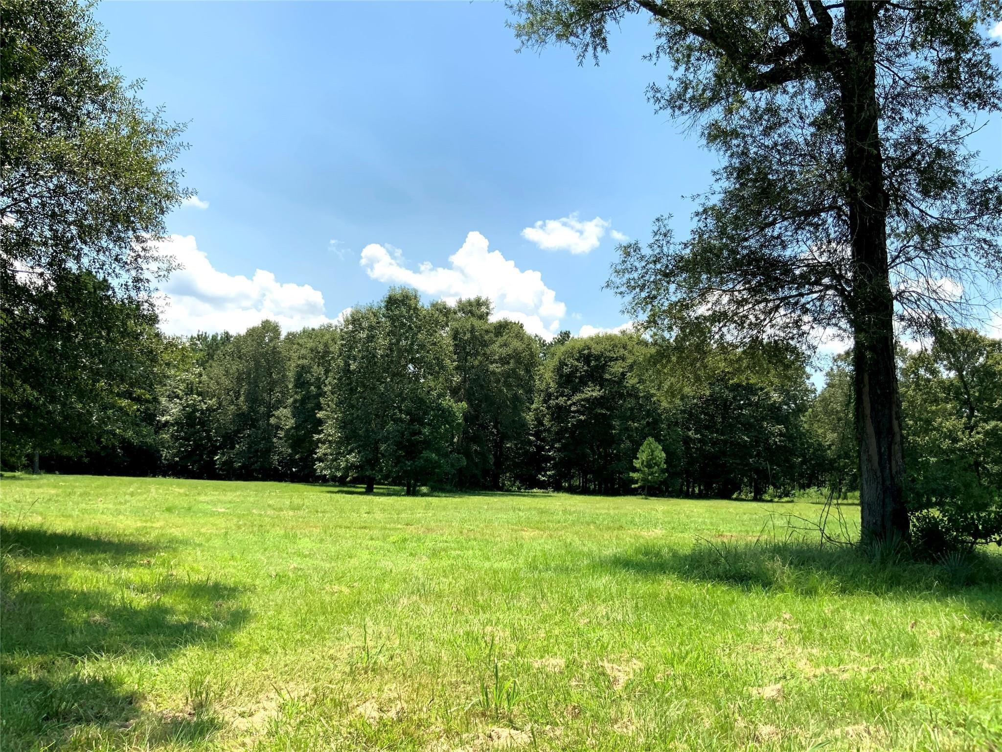 783 County Road 377