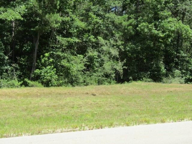 126 Traveler Trail