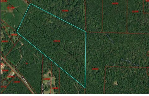 Photo of 0 County Road 2073, Burkeville, TX 75932 (MLS # 34994130) Photo of 0 County Road 2073, Burkeville, TX 75932 (MLS # 34994130)