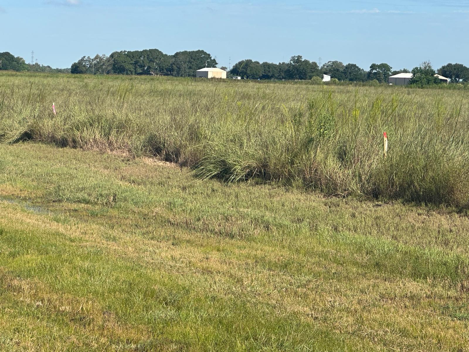 0 Highway 36 S Expressway S