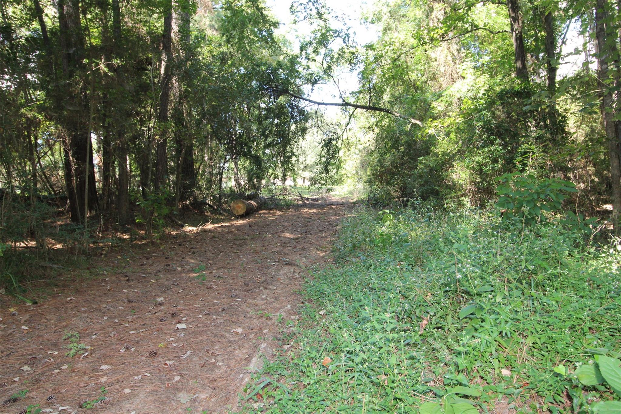 17551 W Fm 1097 Road