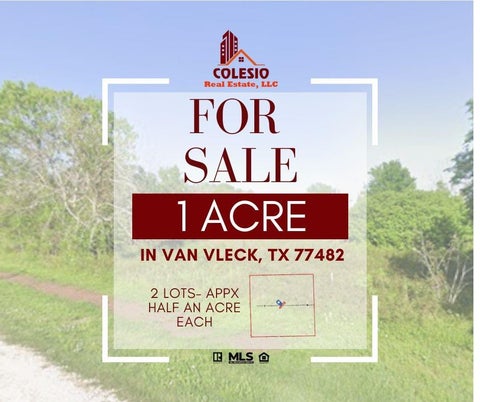 Vacant Land For Sale - 174 Camino Del Royal<br/> Van Vleck, TX 77482