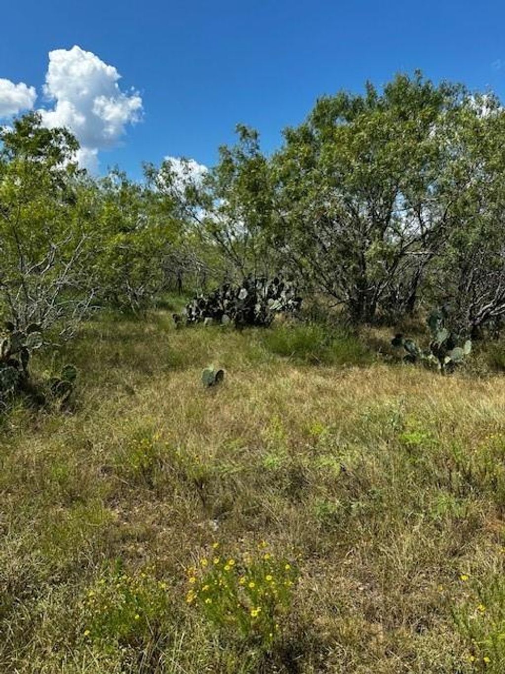 Photo of 2 County Road 420, Waelder, TX 78959 (MLS # 77990758)