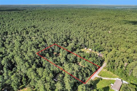 20860 Julie Lane Montgomery TX 77356