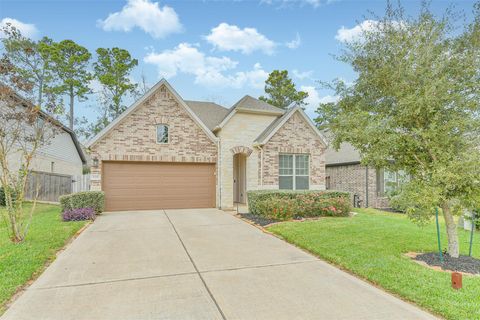 135 Winged Elm Ct Willis TX 77318
