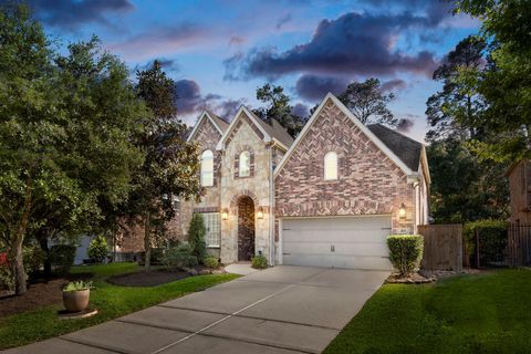 Photo of 103 S Vershire Circle, Magnolia, TX 77354 (MLS # 47412779)