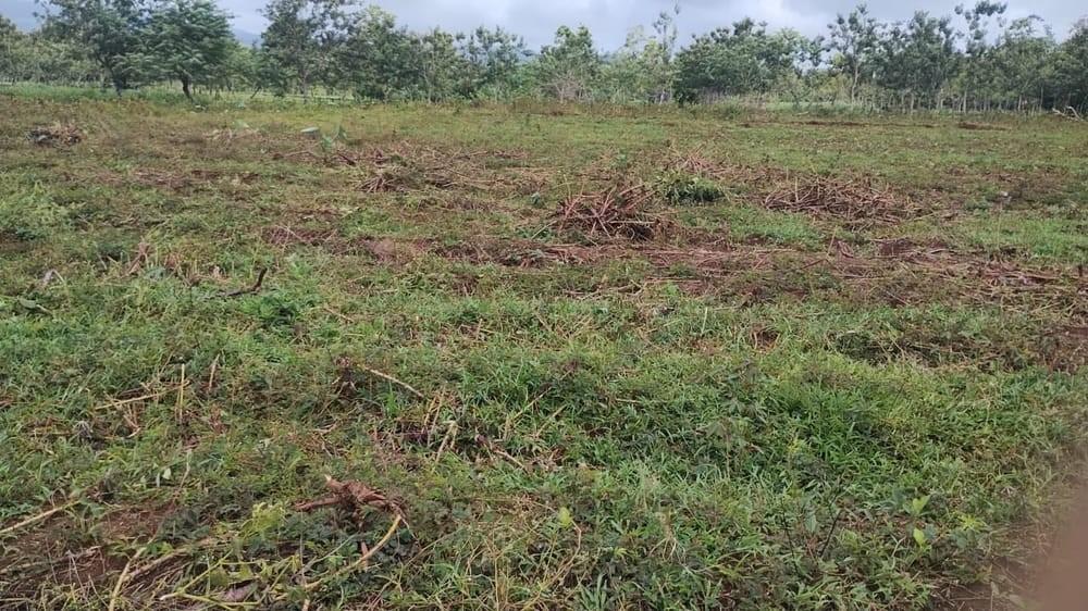 Zona Turistica Y Ecologica