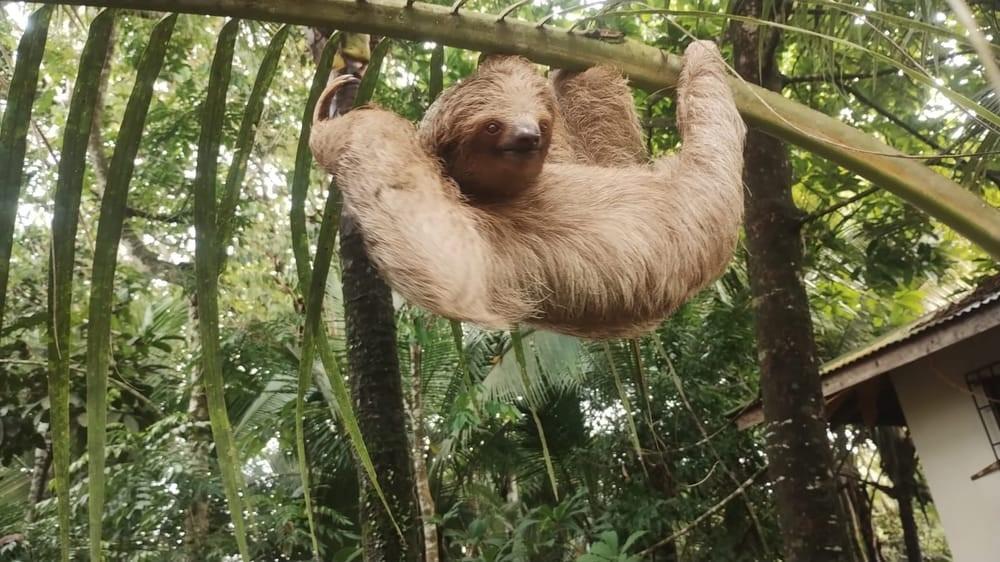 Zona Turistica Y Ecologica