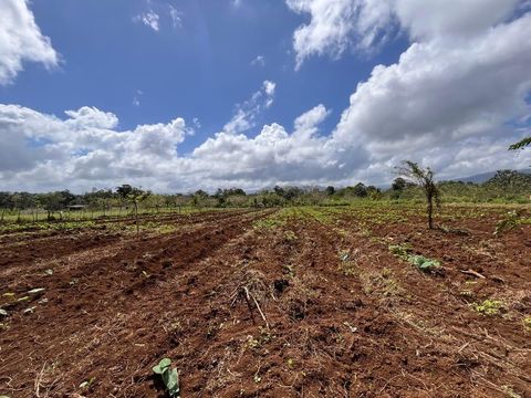 Zona Turistica Y Ecologica   