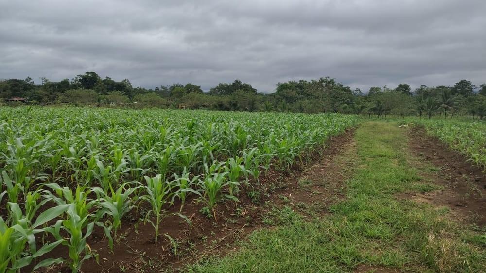Zona Turistica Y Ecologica