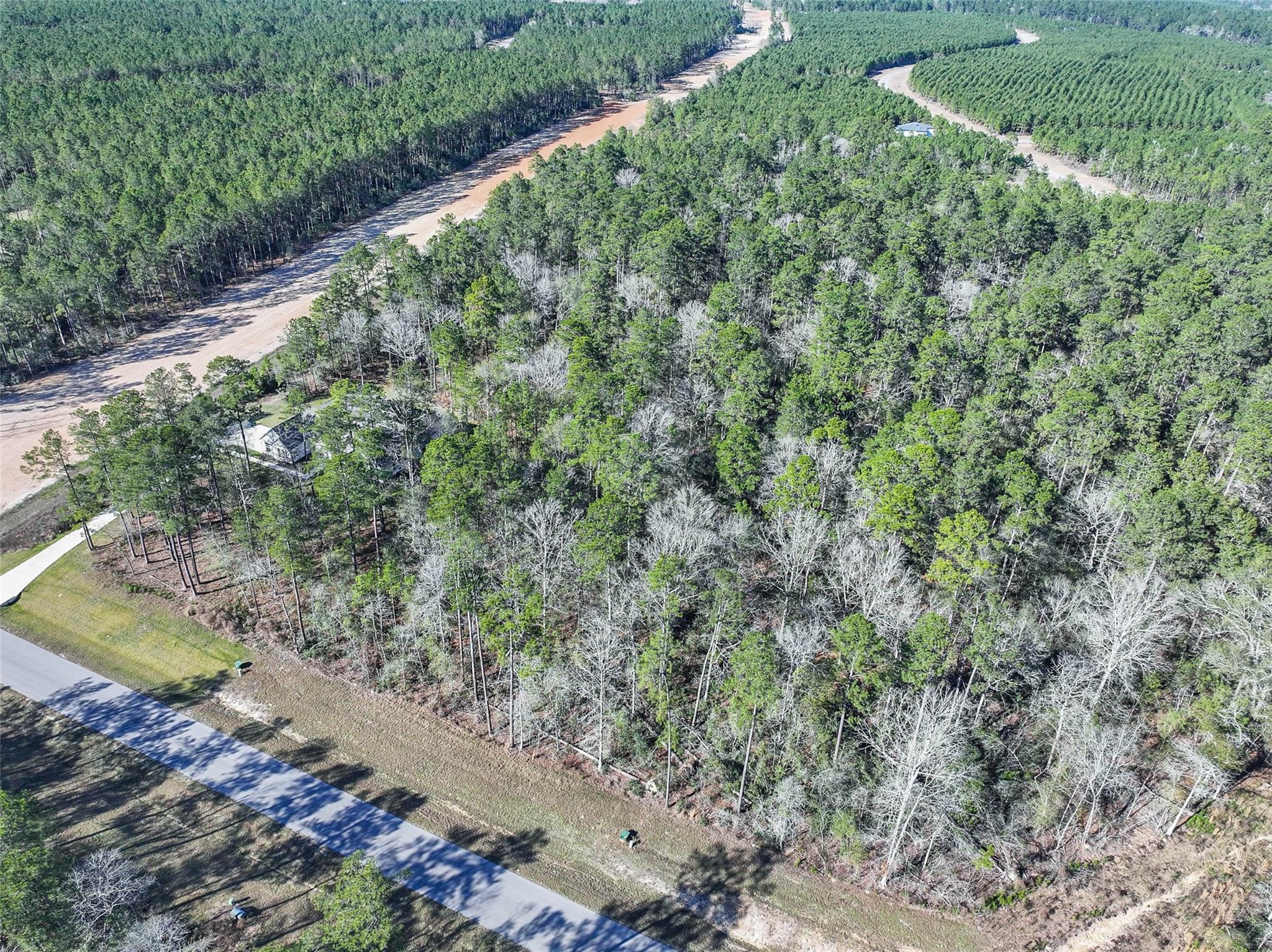 15268 Forest Grove Drive