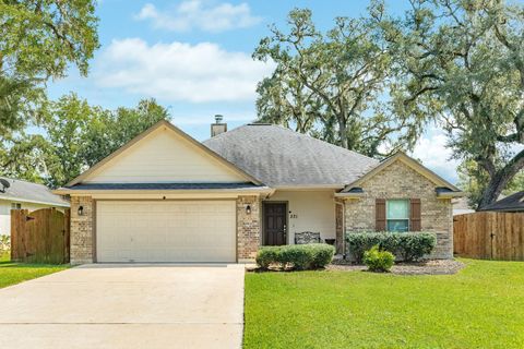 Photo of 231 Wentworth Drive, West Columbia, TX 77486 (MLS # 39424235) Photo of 231 Wentworth Drive, West Columbia, TX 77486 (MLS # 39424235)