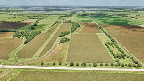Photo of 0 Fm 1462 Road, Damon, TX 77430 (MLS # 45165784)